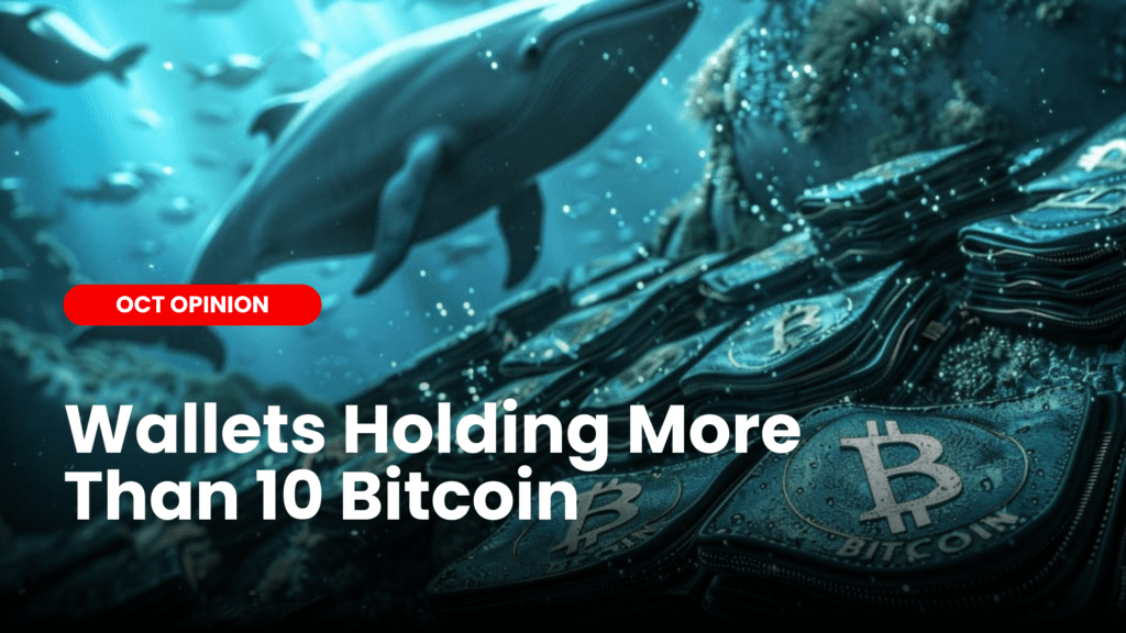 Wallets Holding More than 10 BTC