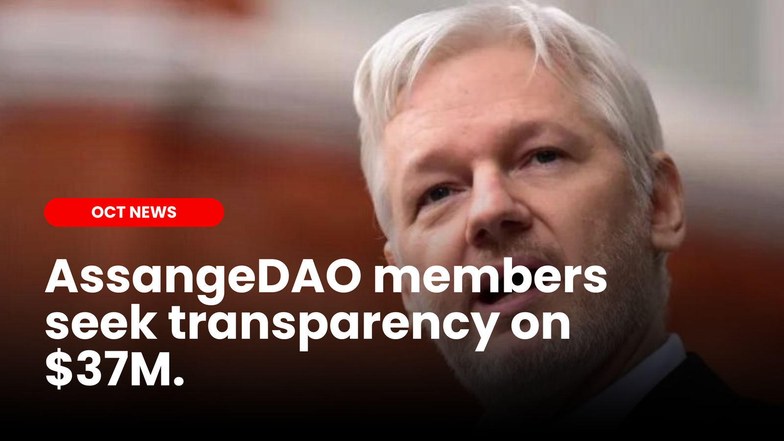 AssangeDAO members seek transparency on $37M