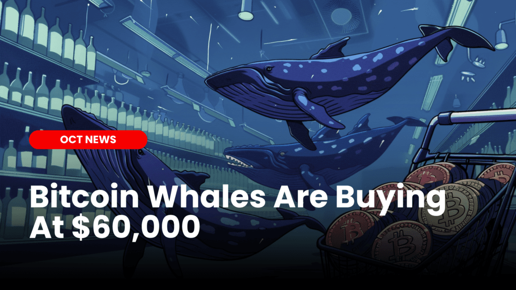 Bitcoin Whales Are Buying The Dips image