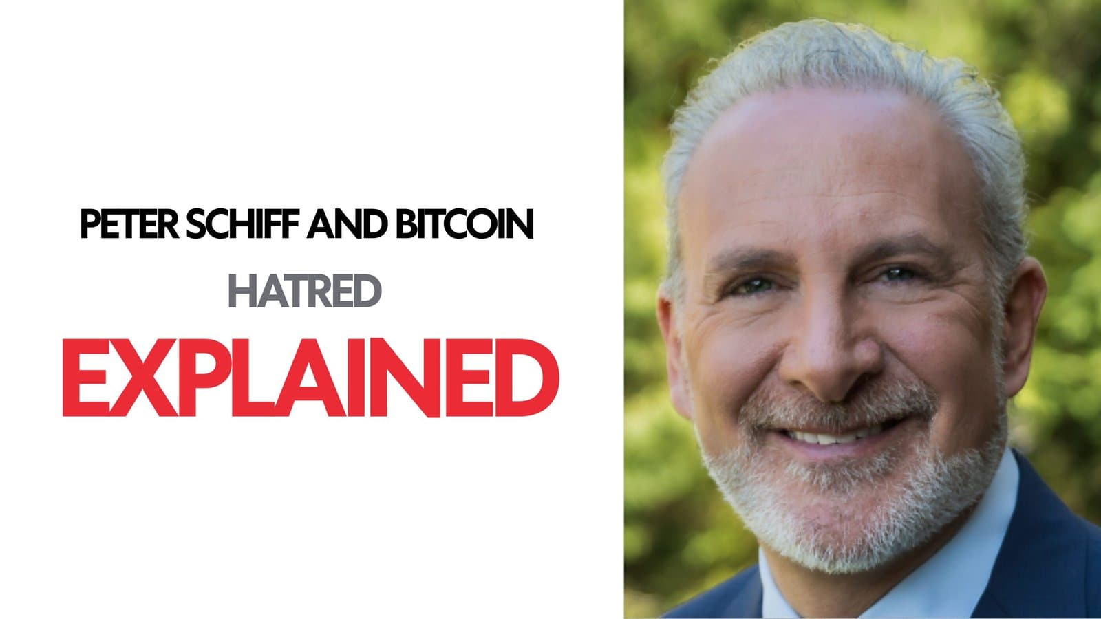 Peter Schiff And Bitcoin Hatred: Explained image