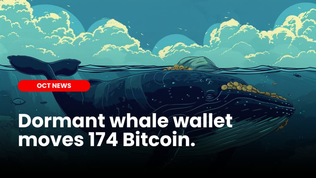 Dormant whale wallet moves 174 Bitcoin
