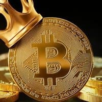 cryptodude2901