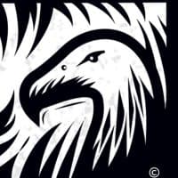 vulturetrades