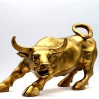 BullRunz22