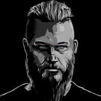 VikingXBT