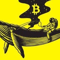 WHALES_CRYPTOzz