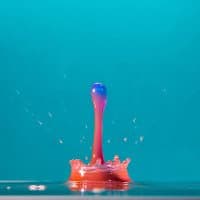 dropcoinalph
