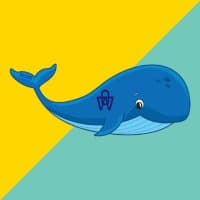whalenumber588