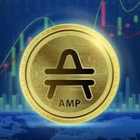 Amp_Xyo