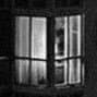 alphwindowlight