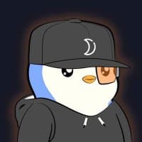 sjdedic