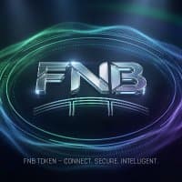 fnbglobalsol