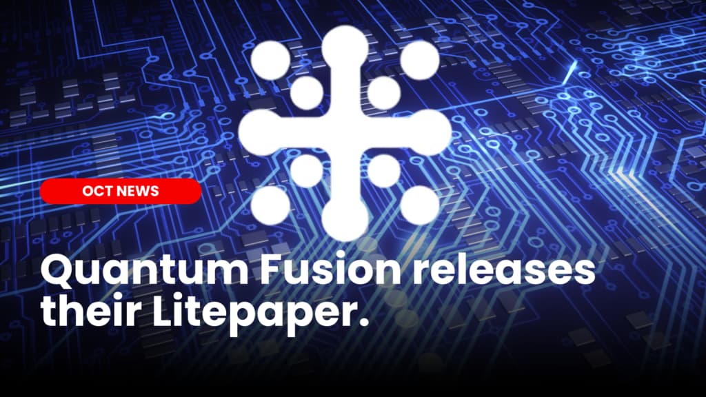 Quantum Fusion foundation team release their QFN Litepaper