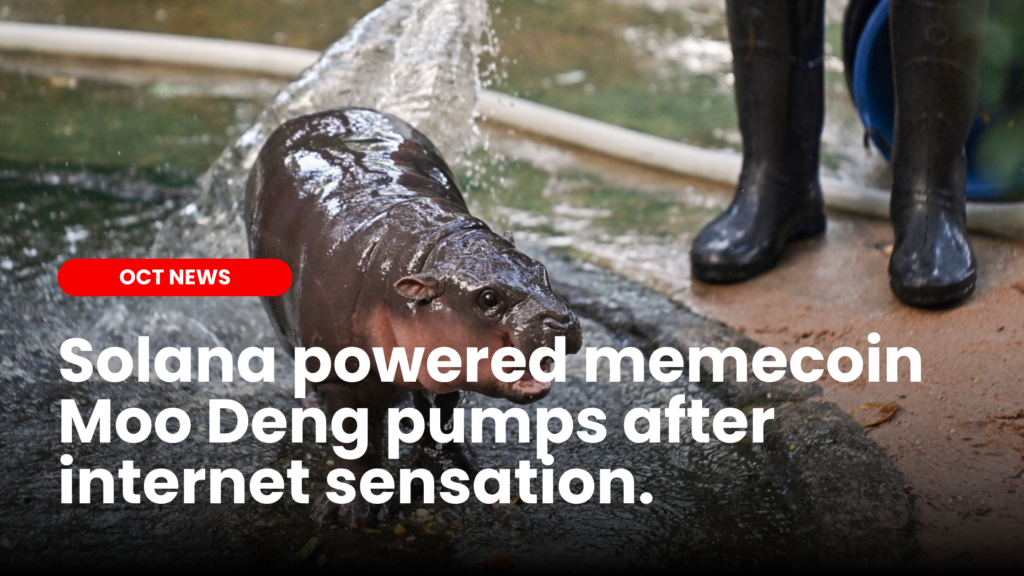 Solana powered memecoin Moo Deng pumps after internet sensation hippo.