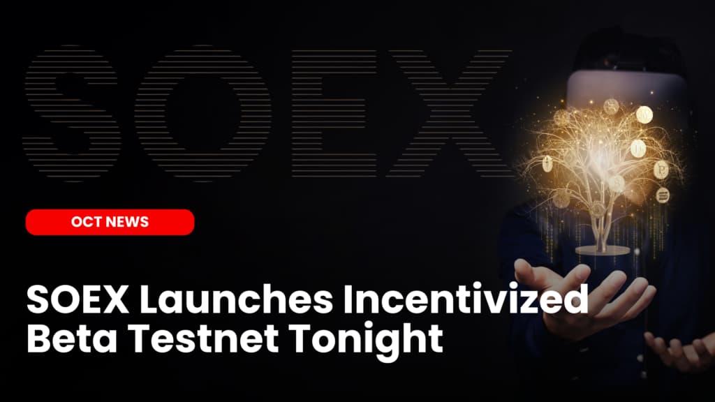 SOEX Beta Testnet Launches Tonight