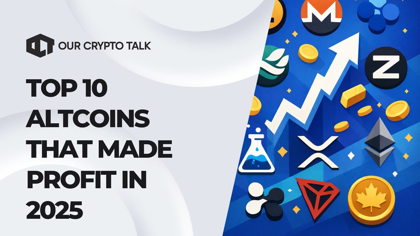Top 10 Altcoins That Made Profit in 2025